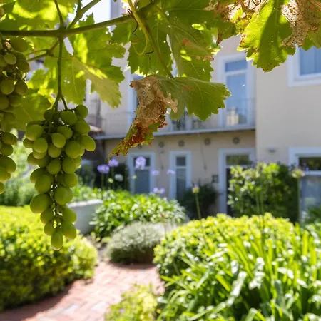 Hidden Graca Garden By Lovelystay Lisbon